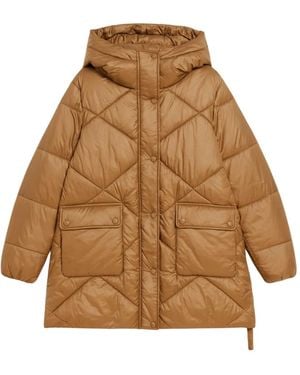 DUNO Winter Jackets - Bruin