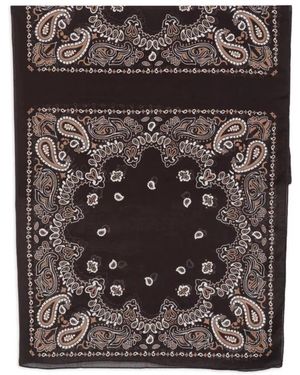 Destin Scarves - Negro