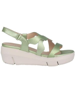 Wonders Wedges - Vert