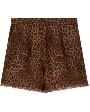 MC2 Saint Barth Short Shorts - Brown