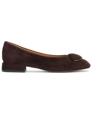 Kazar Ballerinas - Marrone
