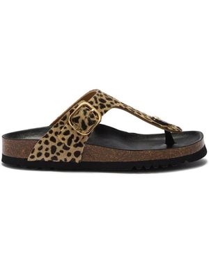 Scholl Flip Flops - Marrone