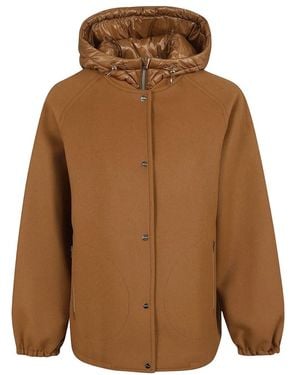 Herno Winter Jackets - Marron