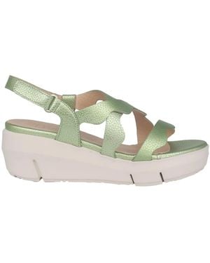 Wonders Wedges - Verde