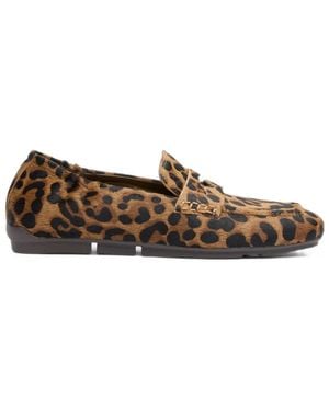 Ash Loafers - Marrón