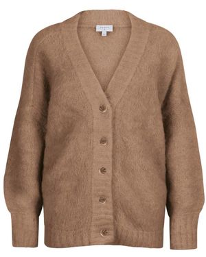 Dante 6 Cardigans - Bruin