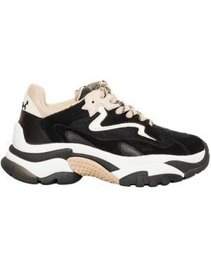 Ash Sneakers - Noir