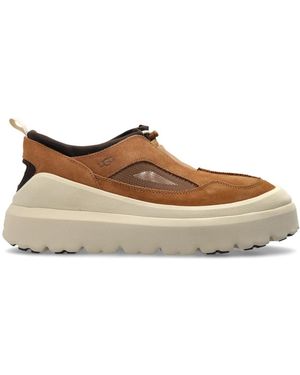 UGG Trainers - Brown