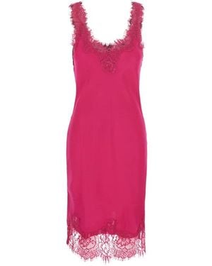Gold Hawk Midi Dresses - Rose