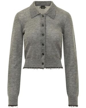 Pinko Cardigans - Grijs