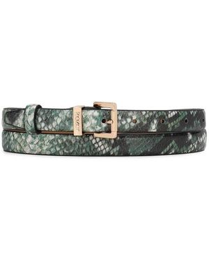 Kazar Belts - Verde