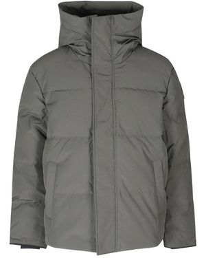 Canada Goose Winter Jackets - Gris