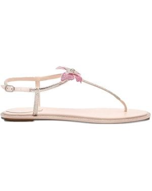 Rene Caovilla Flat Sandals - Roze