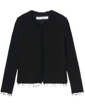 IRO Cardigans - Negro