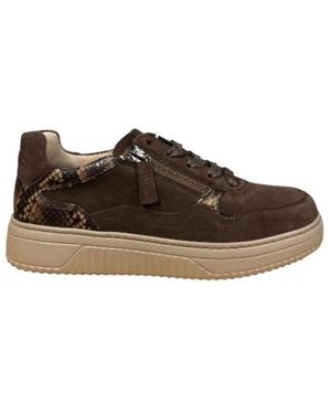 Gabor Sneakers - Marron