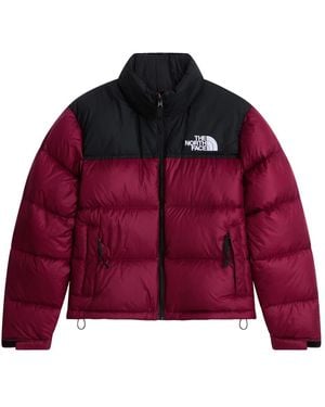 The North Face Training Jackets - Rojo