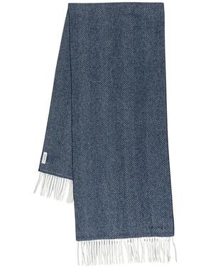 Lanvin Visgraat Sjaal Met Franjes - Blauw
