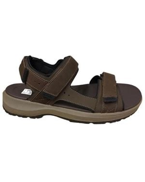 Clarks Guideview Trek - Braun