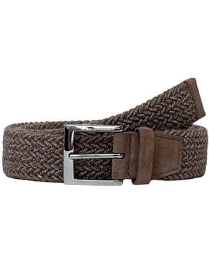 Orciani Belts - Marron