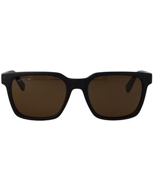 Lacoste Sunglasses - Brown