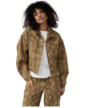 Alchemist Jassen ,Bruin ,Katoen Frederiek Jacket