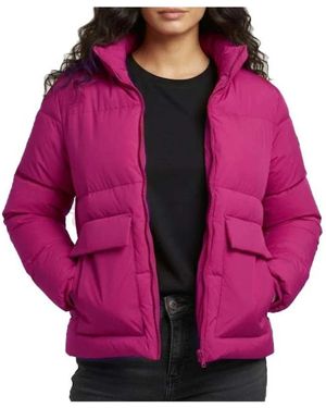 J.O.T.T Winter Jackets - Morado