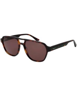 Hackett Sunglasses - Brown