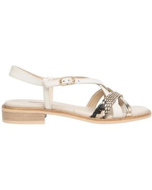 Nero Giardini Flat Sandals - Metallic