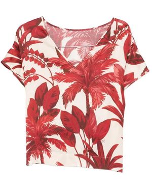 Clips Blouses - Rojo