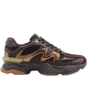 Steve Madden Petegem - Braun