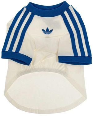 adidas Originals Sport Accessories - Blu