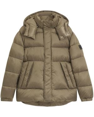 HUGO Winter Jackets - Green