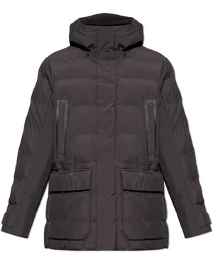 Save The Duck Winter Jackets - Gris