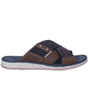 Rohde Sliders - Blu