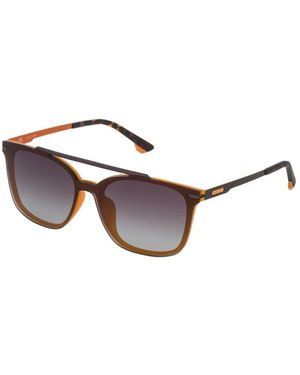 Police Sunglasses - Brown