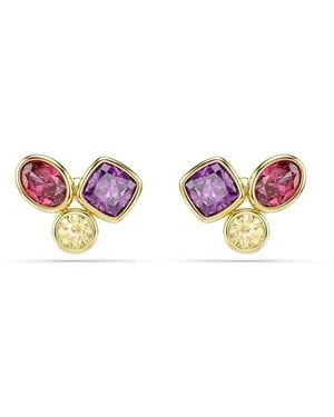 Swarovski Earrings - Rosa