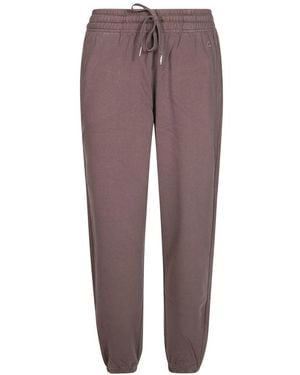 Sun 68 Joggers - Brown