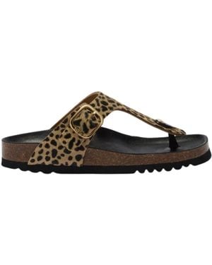 Scholl Flip Flops - Brown