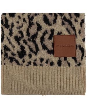 COACH Winter Scarves - Metálico