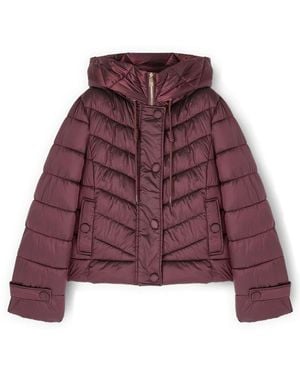 mötivi Jassen ,Rood ,Polyester Korte Jas Met Capuchon - Paars