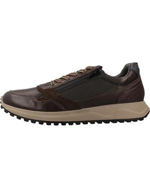 Igi&co Deportivo - Braun