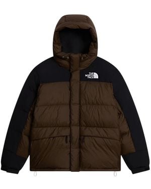 The North Face Jackets - Marrón
