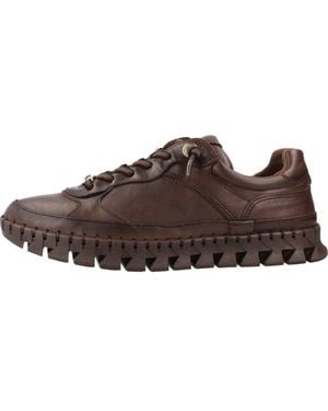 Carmela Sneakers - Marrone