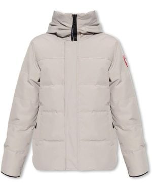 Canada Goose Down Jackets - Grey