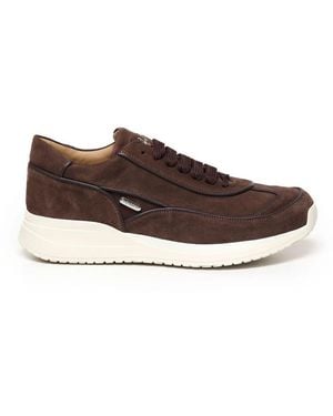 Cesare Paciotti Sneakers - Marrón