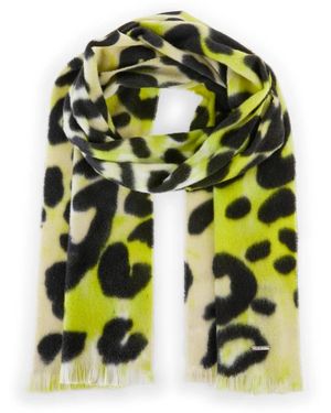 Marc Cain Winter Scarves - Verde