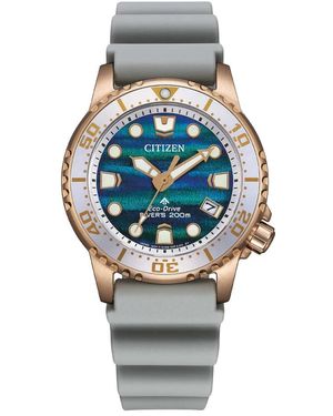 Citizen Accessoires ,Blauw ,Promaster Dive - Metallic