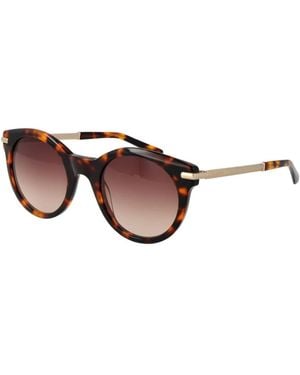 Sandro Brown Sunglasses