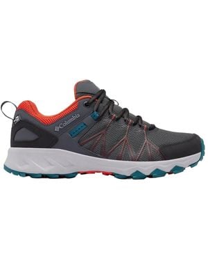 Columbia Trainers - Blue