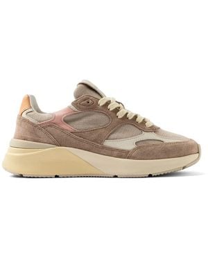 Date Trainers - Brown
